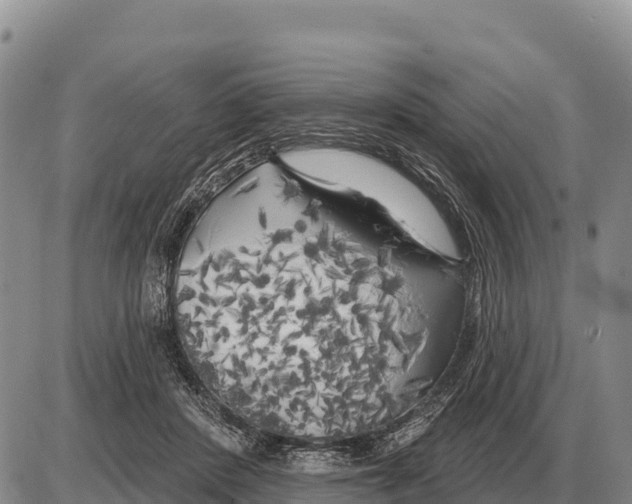X0000086300408200704271832