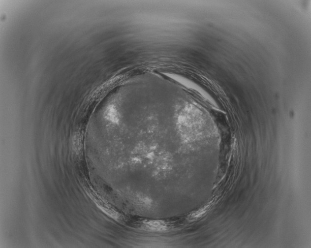 X0000086300409200704271832