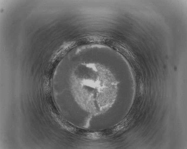 X0000086300411200704271832