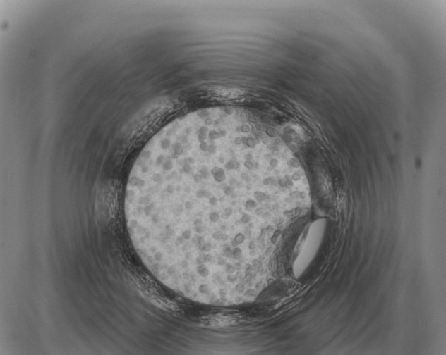 X0000086300412200704271832