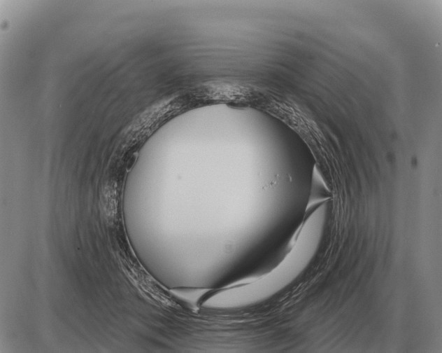 X0000086300413200704271832