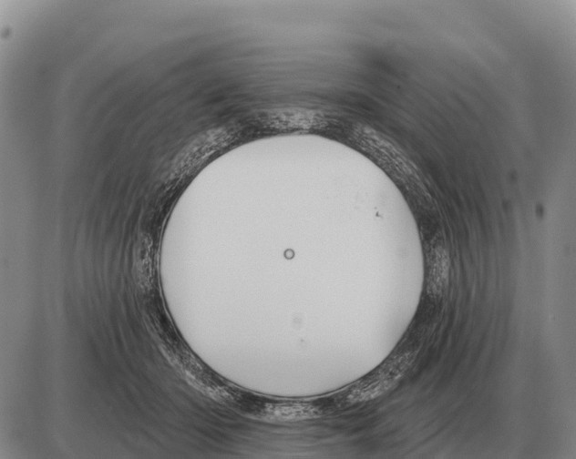 X0000086300414200704271832