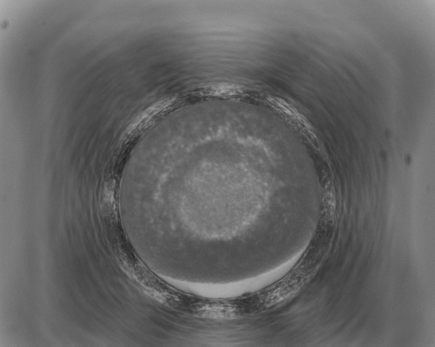 X0000086300415200704271832