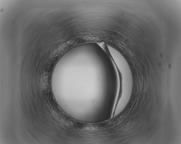 X0000086300416200704271832