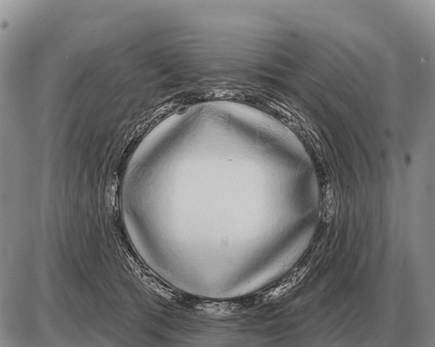 X0000086300417200704271832