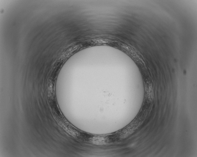 X0000086300418200704271832