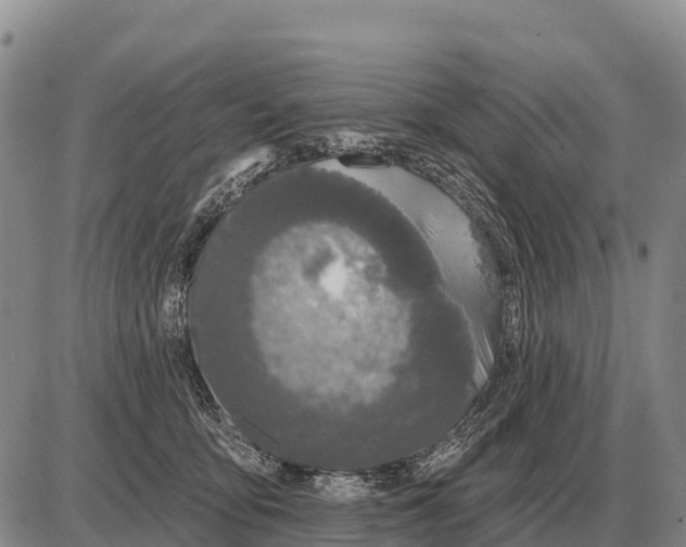 X0000086300419200704271832