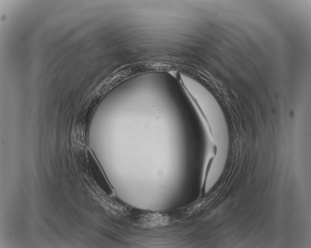 X0000086300421200704271832