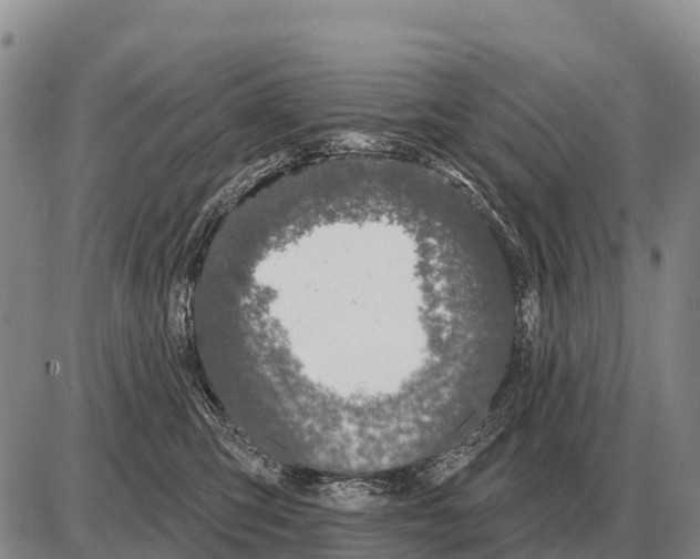 X0000086300423200704271832