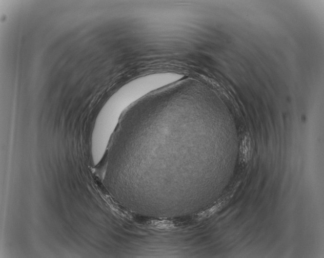 X0000086300424200704271832