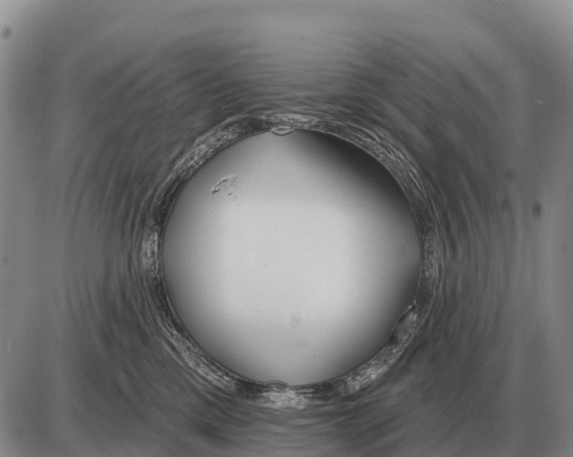 X0000086300425200704271832