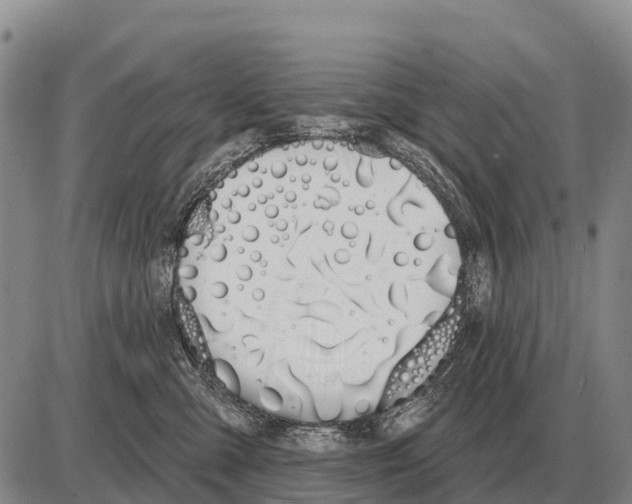 X0000086300427200704271832