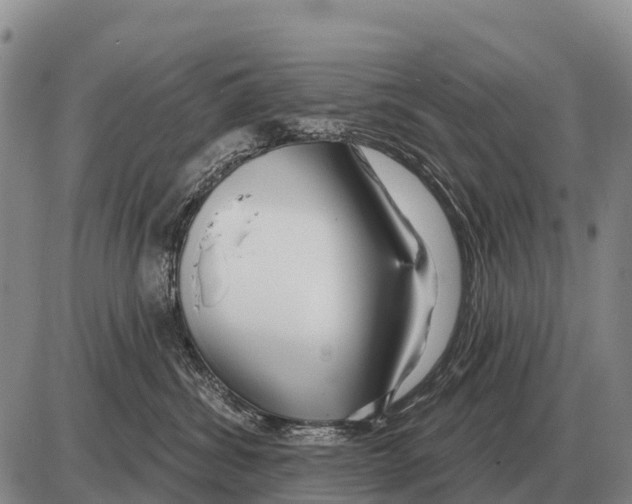 X0000086300428200704271832