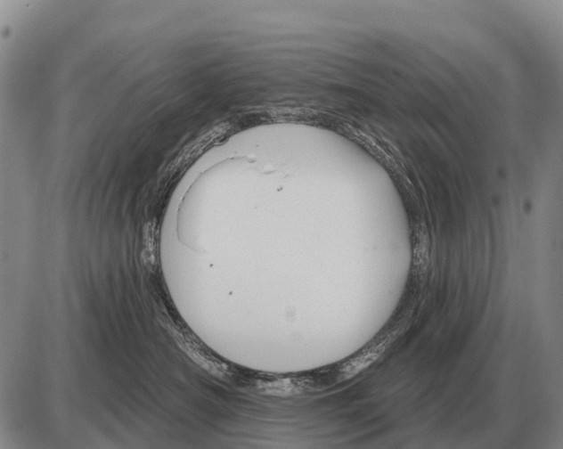 X0000086300430200704271831