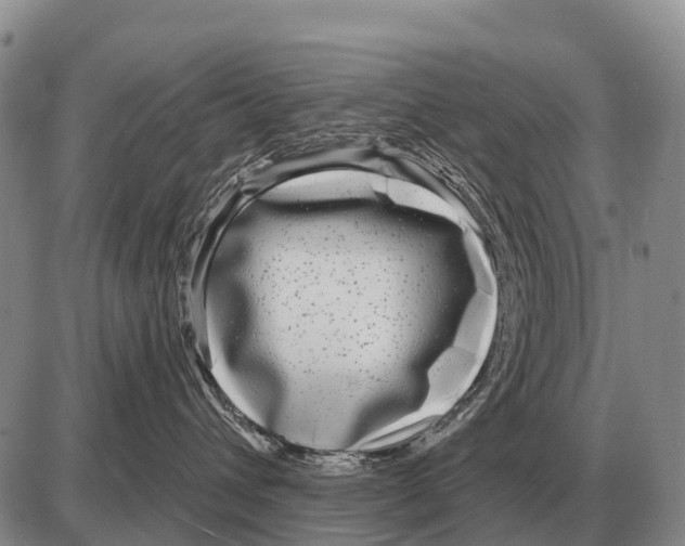 X0000086300432200704271831