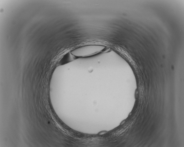 X0000086300433200704271831