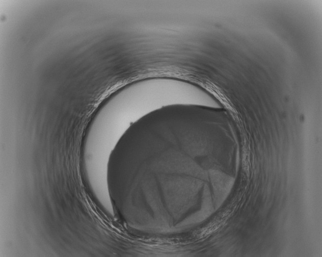 X0000086300434200704271831