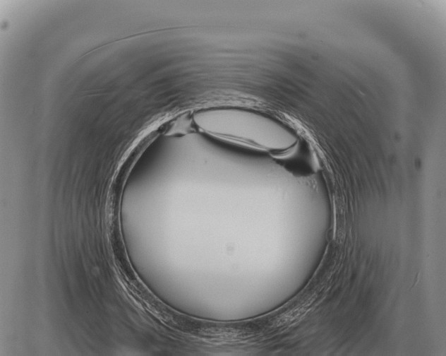 X0000086300435200704271831