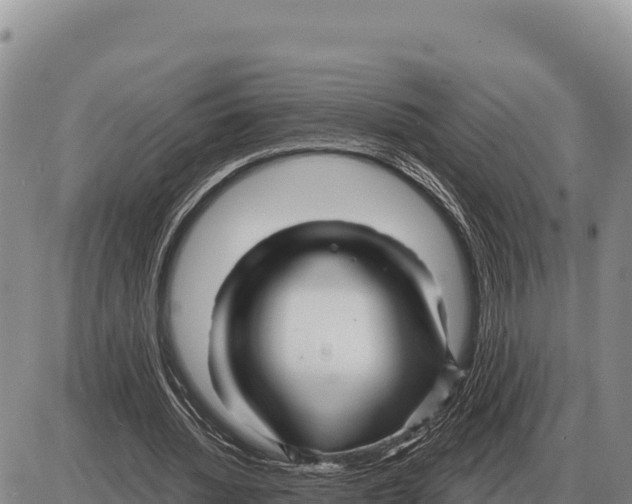 X0000086300436200704271831