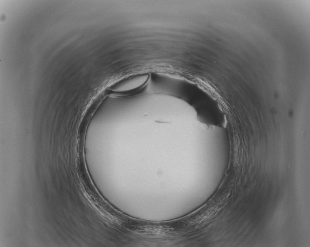 X0000086300439200704271831