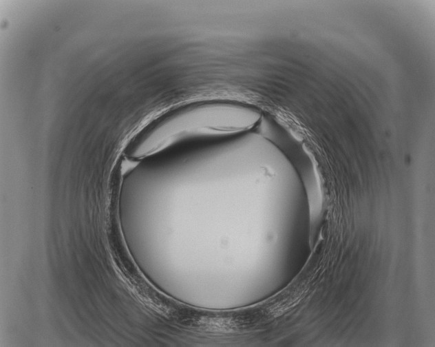 X0000086300440200704271831