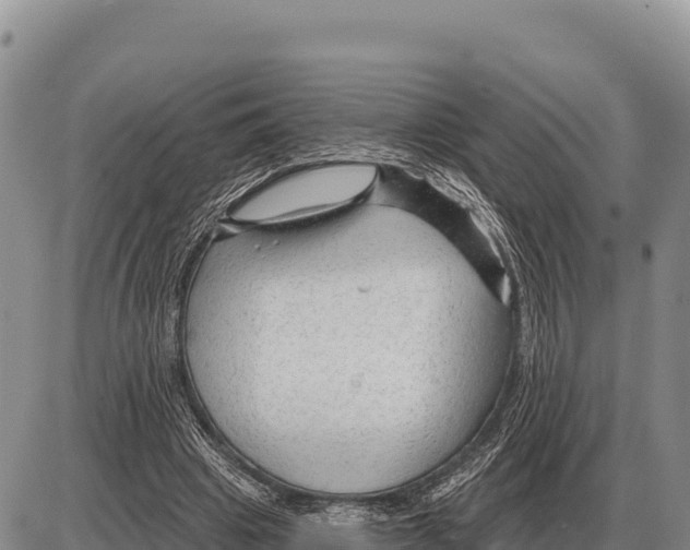 X0000086300441200704271831