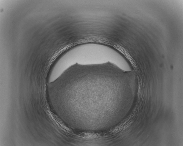 X0000086300442200704271831