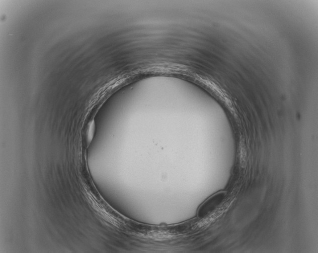 X0000086300445200704271831