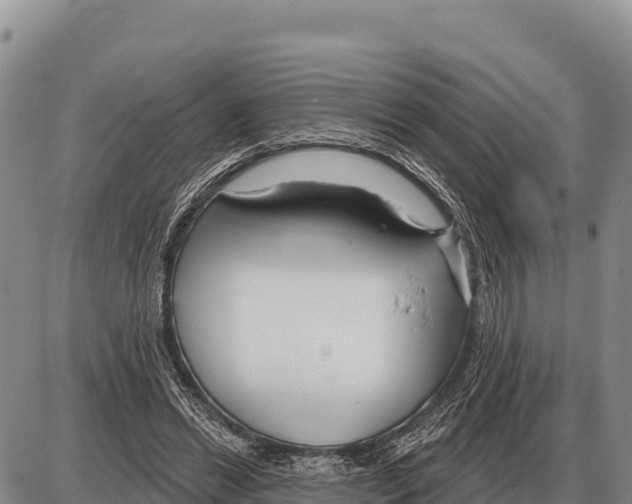 X0000086300446200704271831