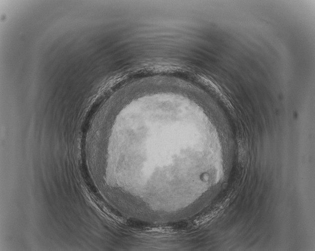 X0000086300447200704271831