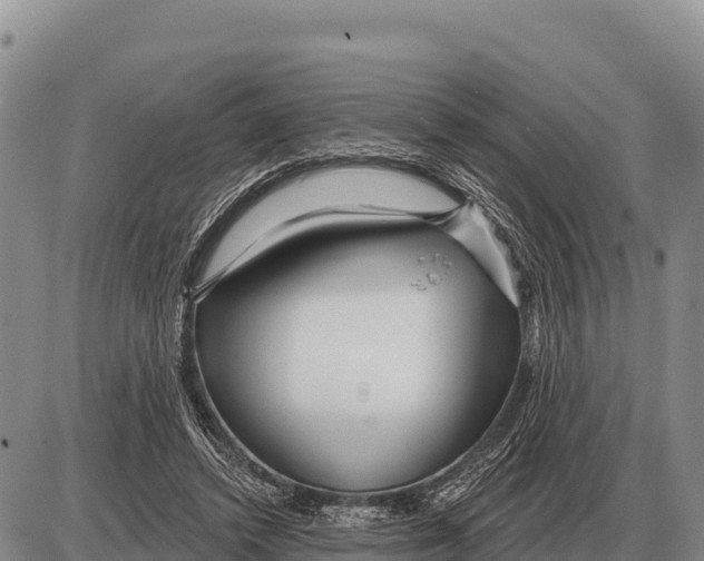 X0000086300448200704271831