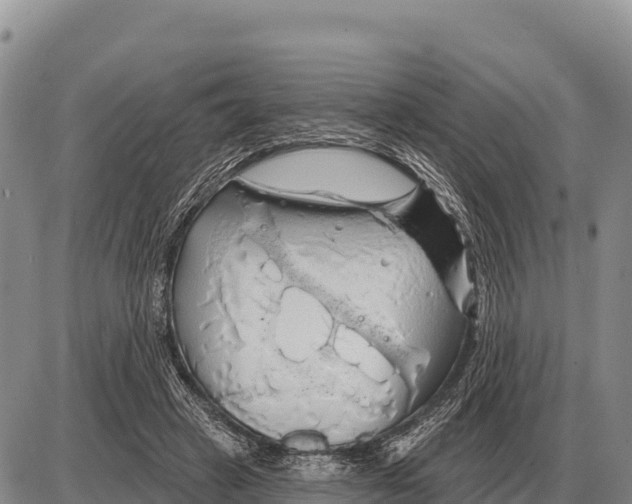 X0000086300449200704271831