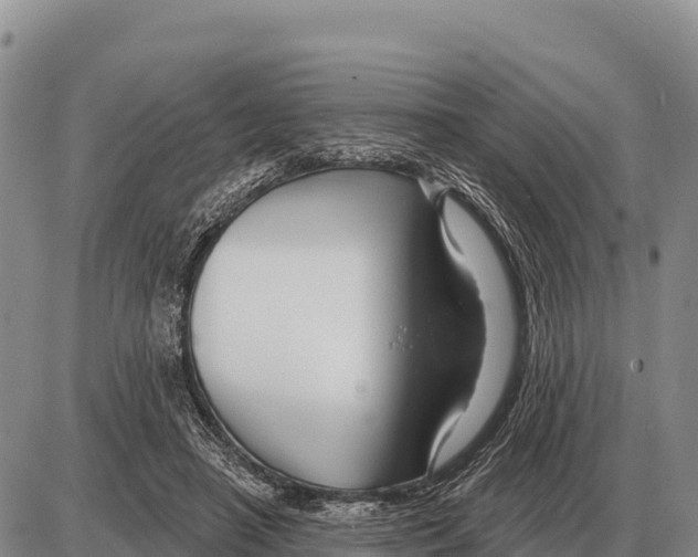 X0000086300450200704271831