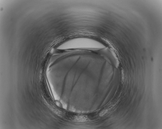 X0000086300451200704271831