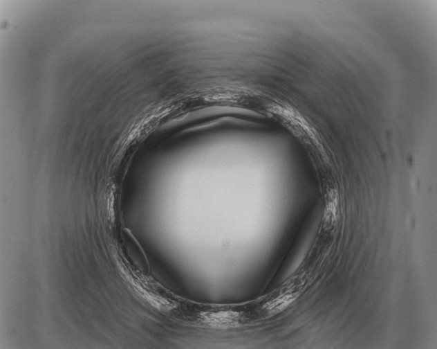 X0000086300452200704271831