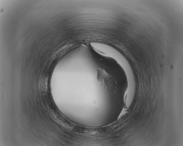 X0000086300454200704271831