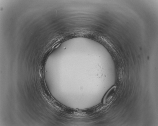 X0000086300455200704271831