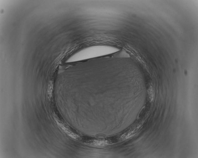 X0000086300458200704271831