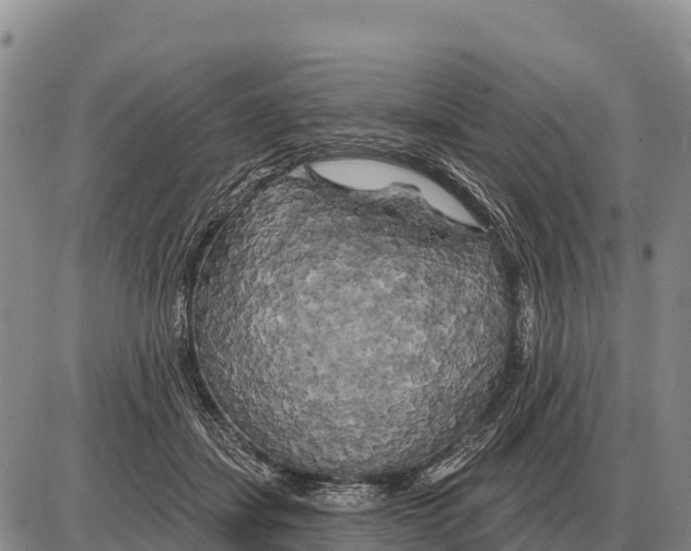 X0000086300459200704271831