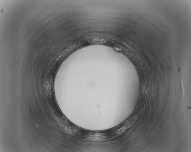 X0000086300460200704271831