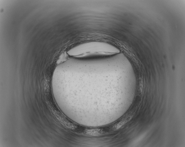 X0000086300461200704271831