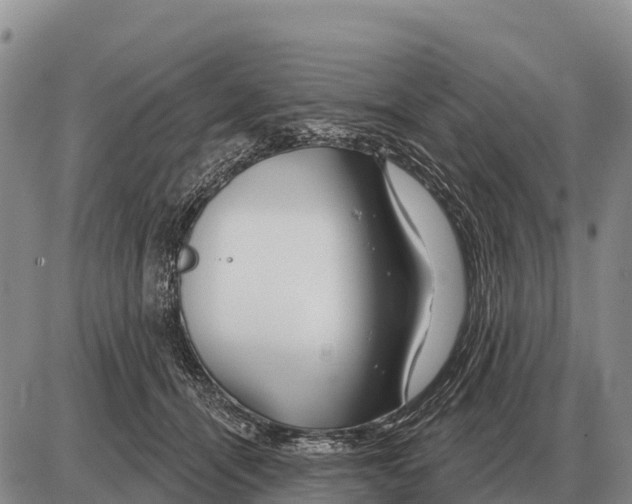 X0000086300464200704271831