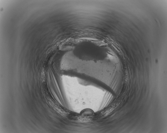 X0000086300465200704271831