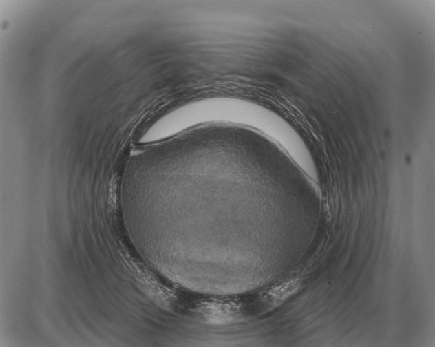 X0000086300466200704271831