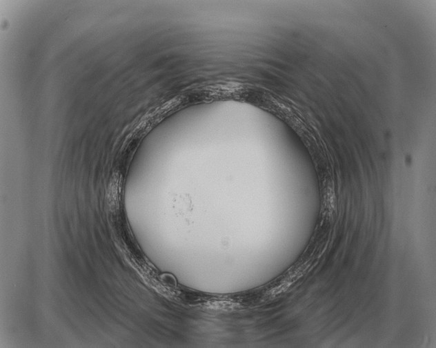 X0000086300468200704271831