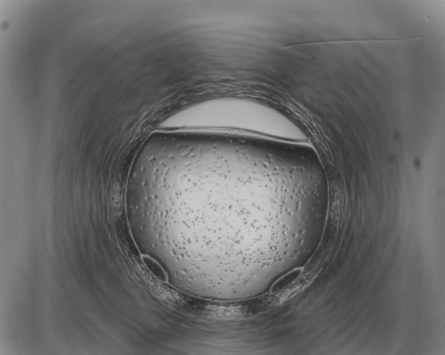 X0000086300469200704271831