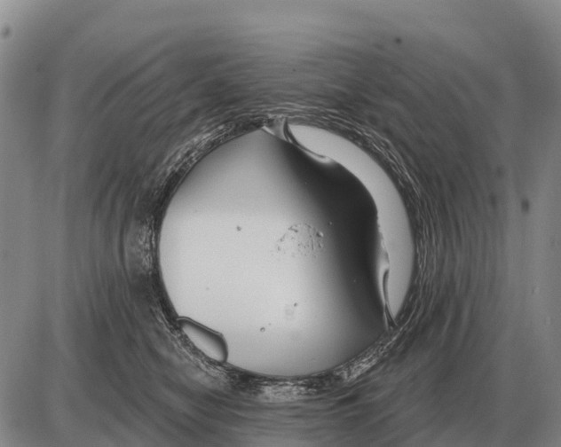 X0000086300470200704271831