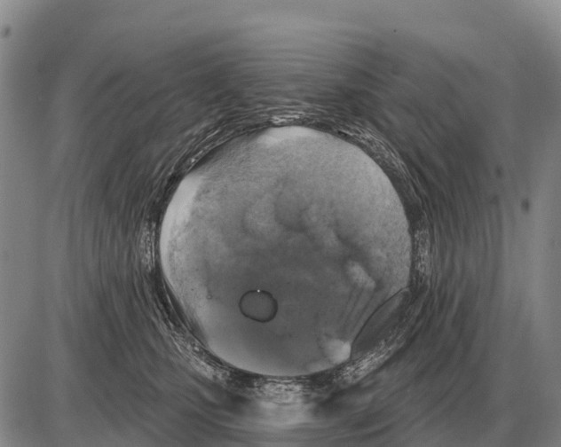 X0000086300471200704271831