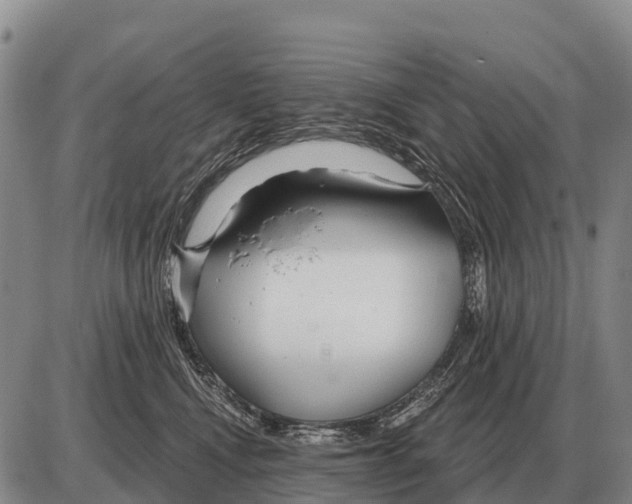 X0000086300472200704271831