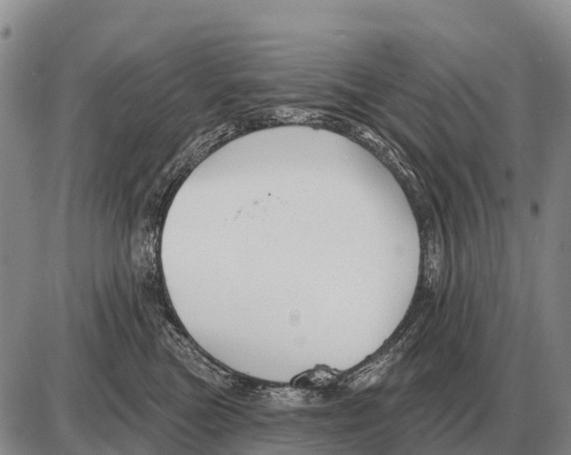 X0000086300473200704271831